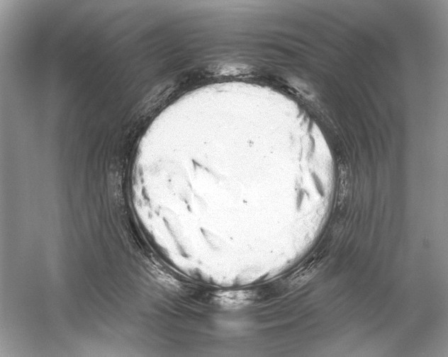 X0000059800269200511181522