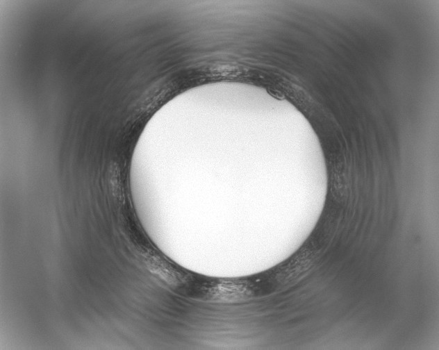 X0000059800270200511181522