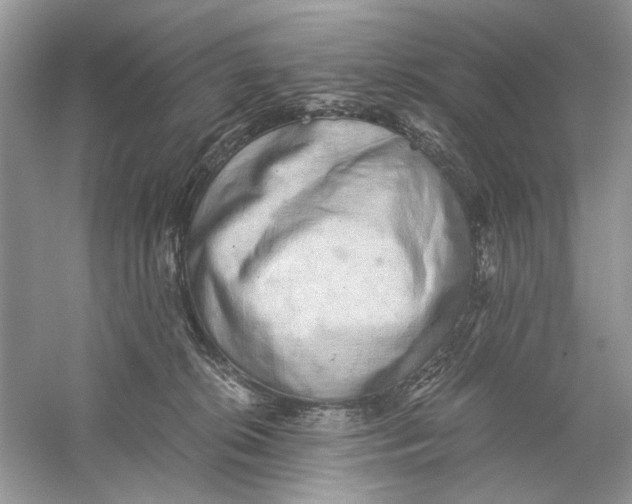 X0000059800276200511181522