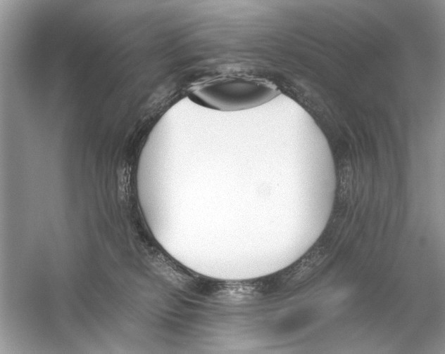 X0000059800278200511181522