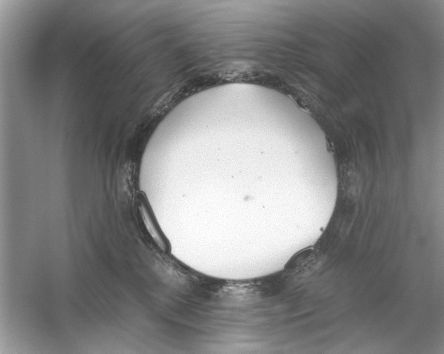 X0000059800280200511181522