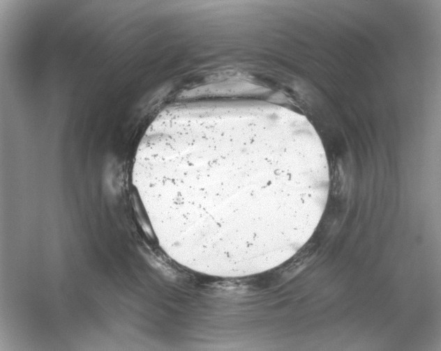 X0000059800284200511181522