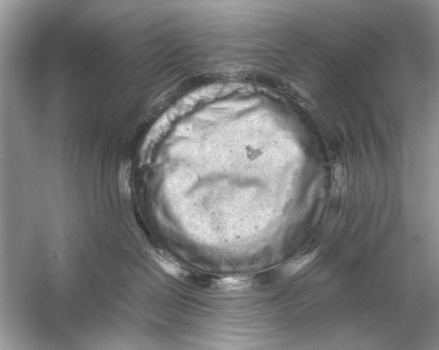 X0000059800286200511181522