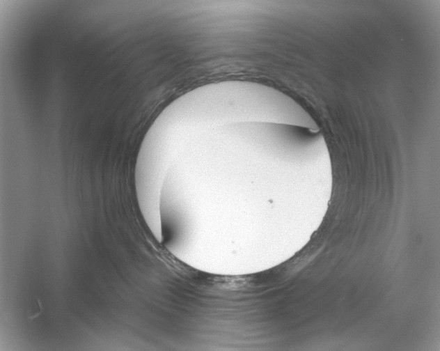 X0000059800288200511181522