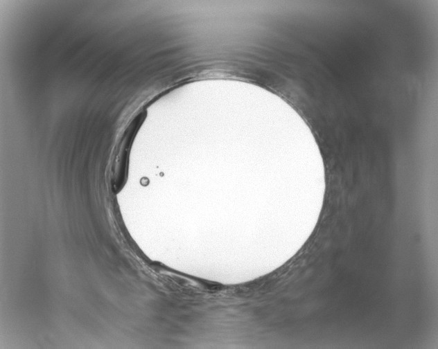 X0000059800289200511181522