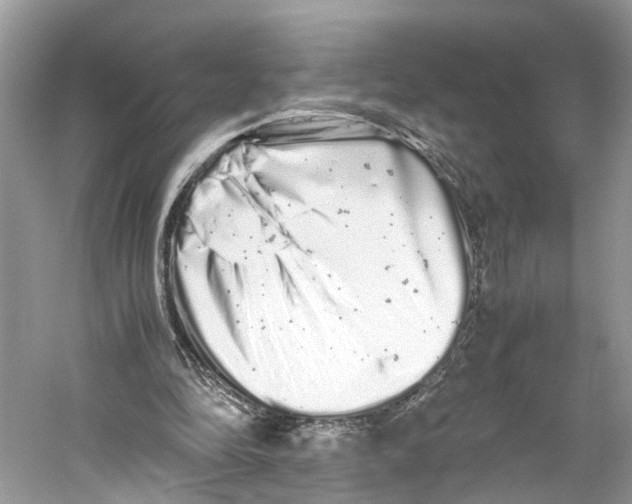 X0000059800294200511181522