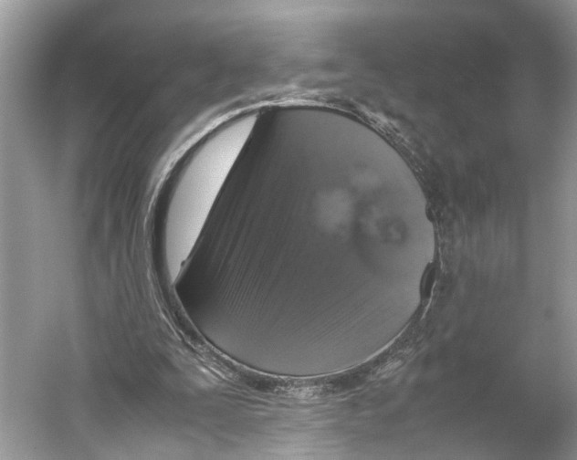 X0000059800295200511181522