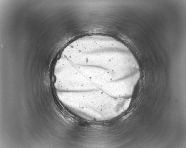 X0000059800298200511181522