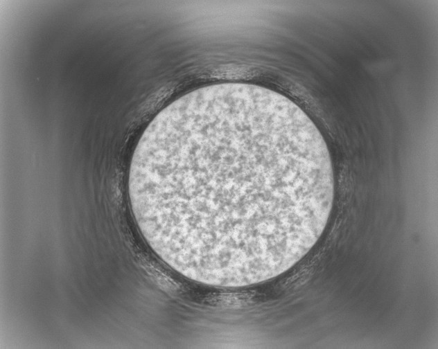 X0000059800305200511181521