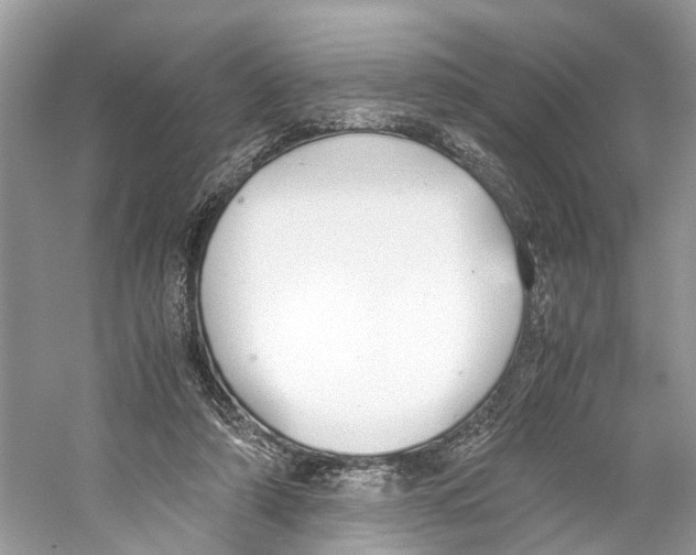 X0000059800306200511181521