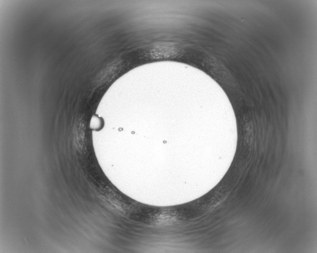 X0000059800308200511181521