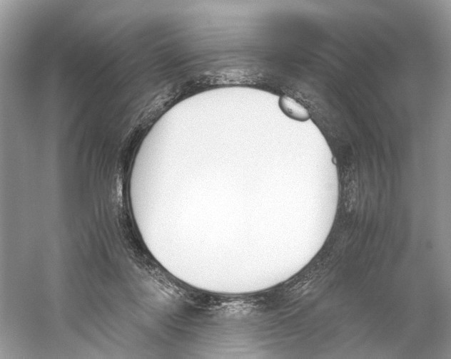 X0000059800310200511181521