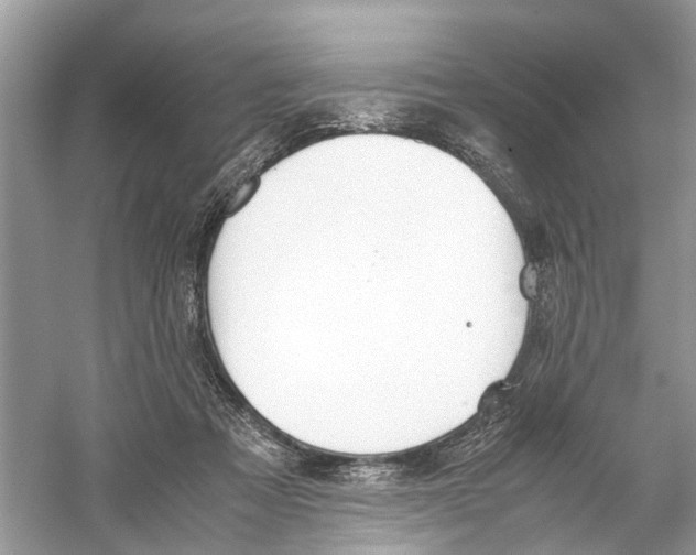 X0000059800313200511181521