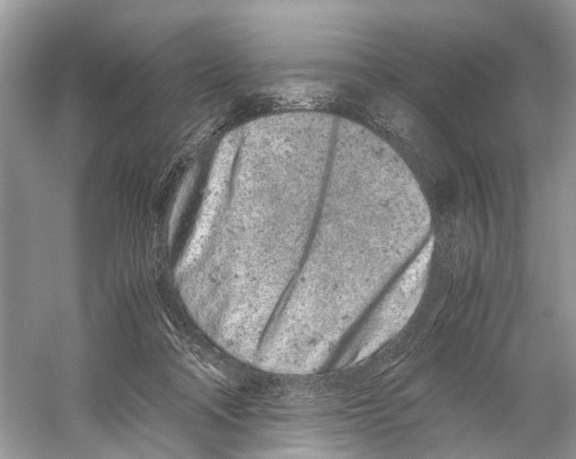 X0000059800314200511181521