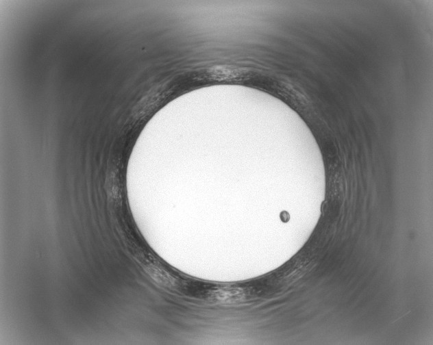 X0000059800317200511181521