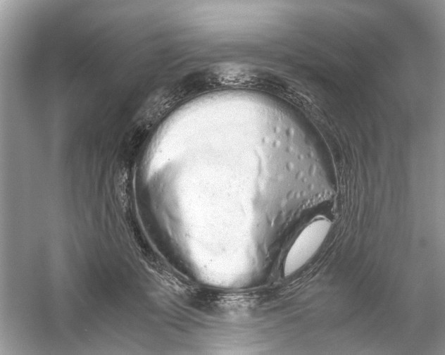 X0000059800319200511181521