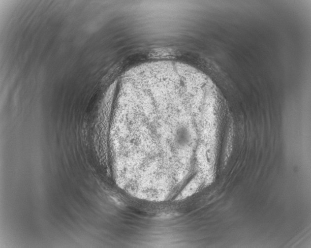 X0000059800322200511181521