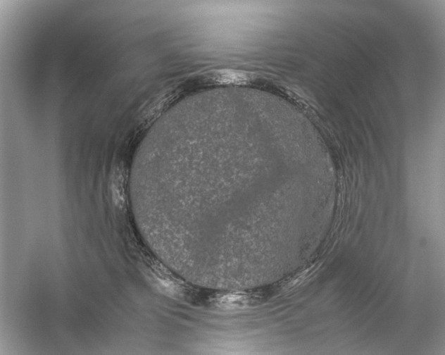 X0000059800325200511181521