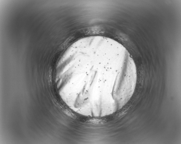 X0000059800326200511181521