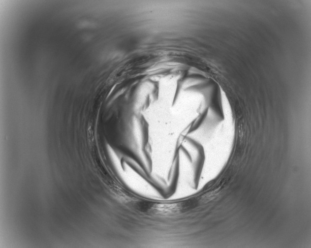 X0000059800327200511181521