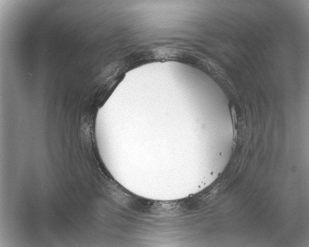 X0000059800329200511181521