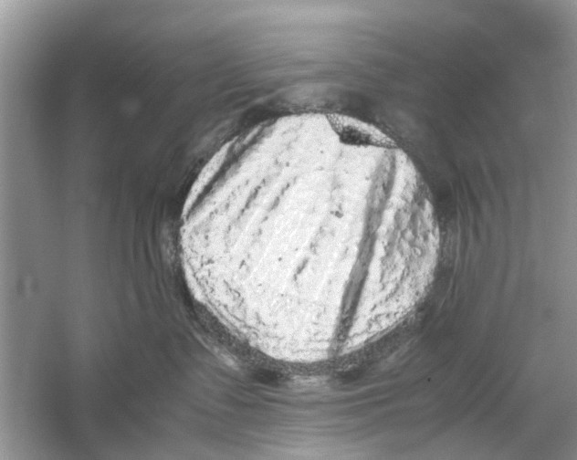 X0000059800335200511181521