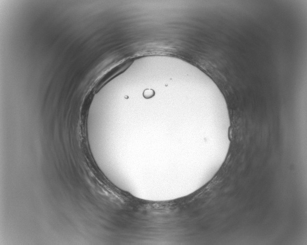 X0000059800338200511181520