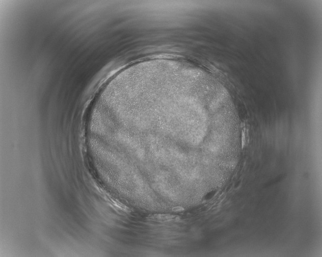 X0000059800339200511181520