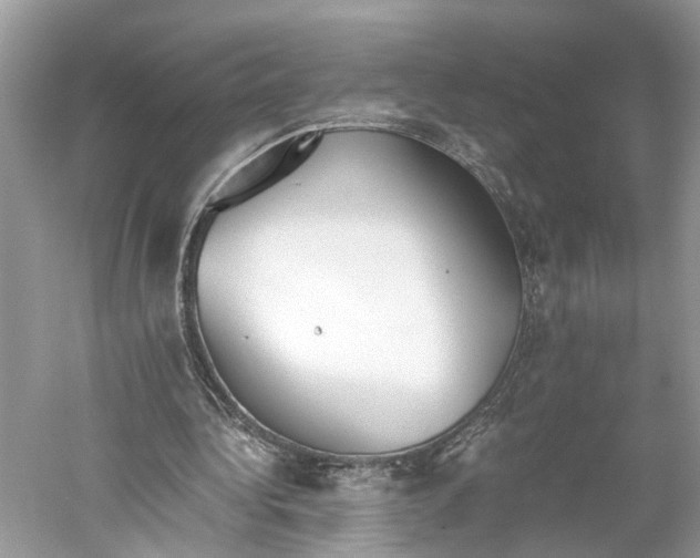 X0000059800340200511181520