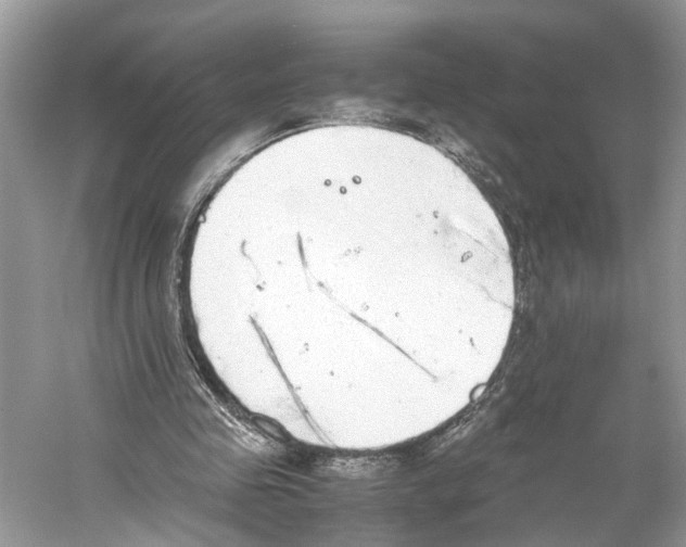 X0000059800341200511181520