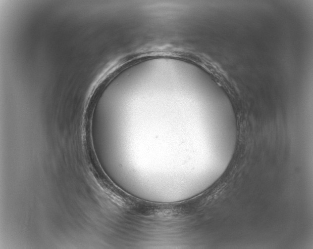 X0000059800344200511181520