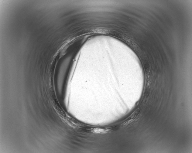 X0000059800347200511181520