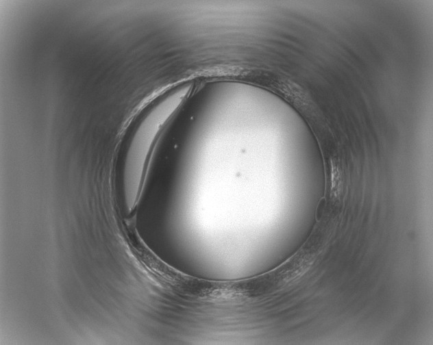 X0000059800348200511181520