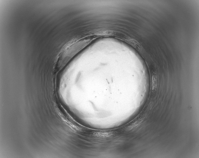 X0000059800349200511181520