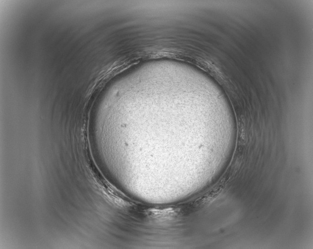 X0000059800357200511181520