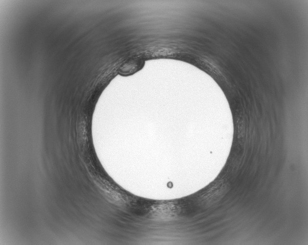 X0000059800362200511181520