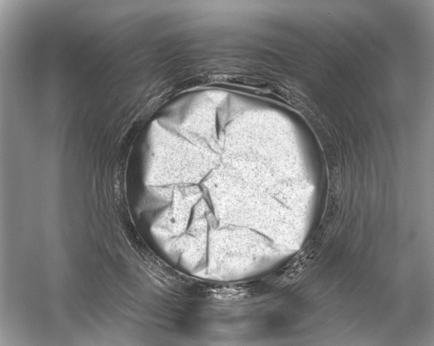 X0000059800363200511181520