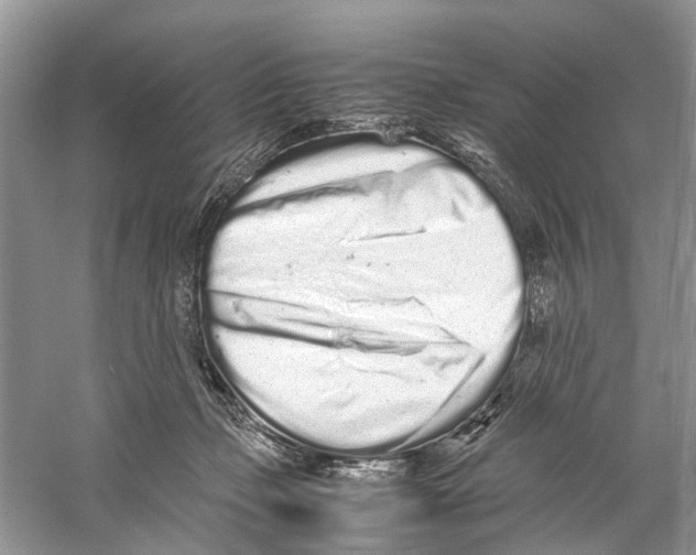 X0000059800365200511181521