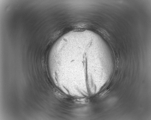 X0000059800377200511181521