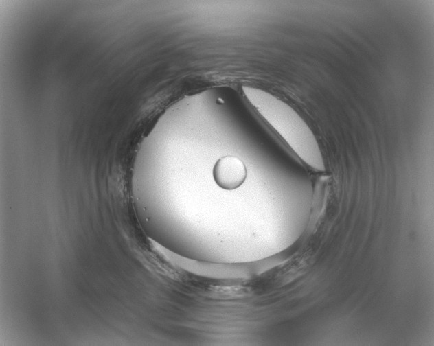 X0000059800380200511181521