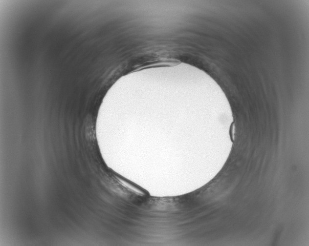 X0000059800384200511181521