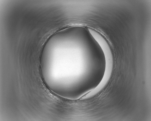 X0000059800385200511181520