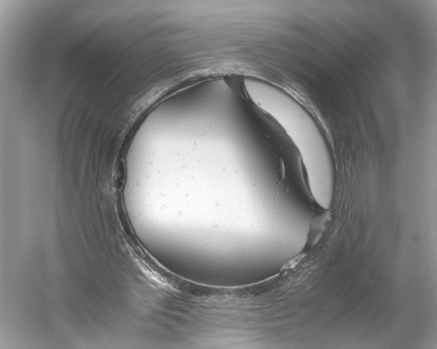 X0000059800389200511181520