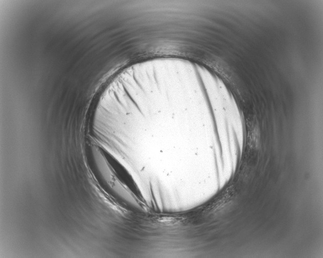 X0000059800390200511181520