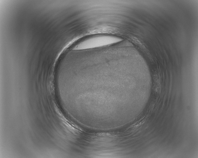 X0000059800392200511181520