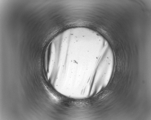 X0000059800394200511181520