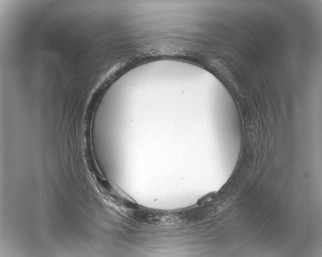 X0000059800395200511181520