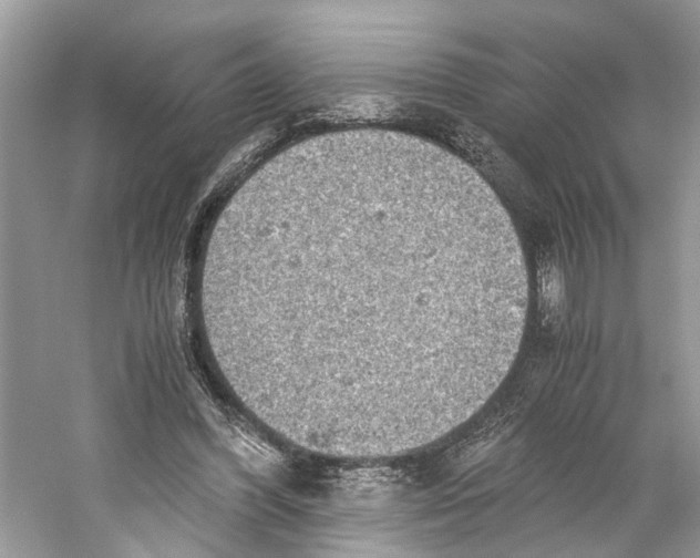 X0000059800396200511181520