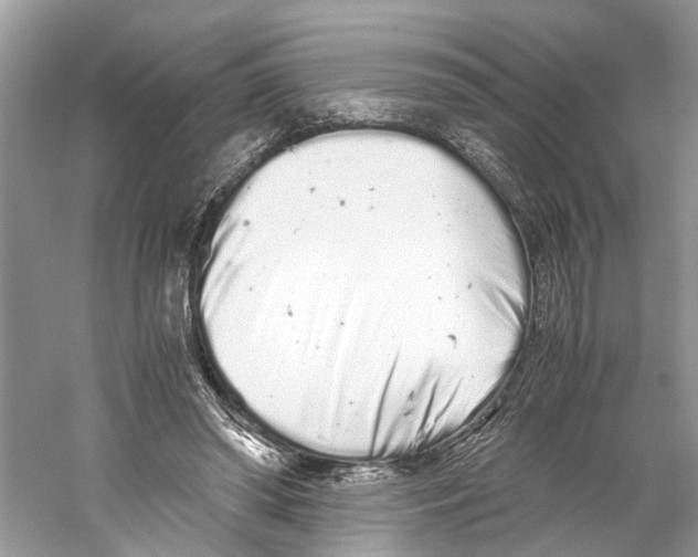 X0000059800398200511181520