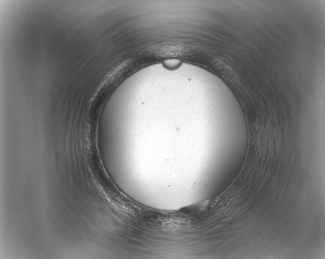 X0000059800400200511181520